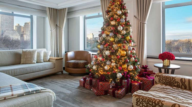 The Ritz-Carlton New York, Central Park Other