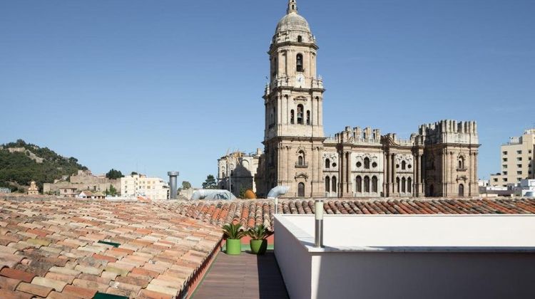 Petit Palace Plaza Malaga Other