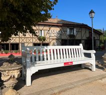 Georges Blanc Parc & Spa Exterior