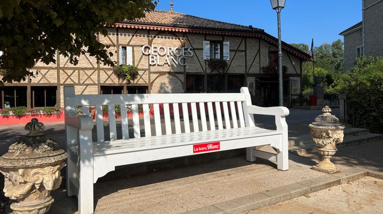 Georges Blanc Parc & Spa Exterior