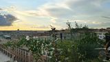 <b>Triviho Hotel Rome Exterior</b>. Images powered by <a href="https://www.leonardoworldwide.com/" title="Leonardo Worldwide" target="_blank">Leonardo</a>.