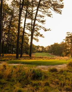 Pine Needles Lodge and Golf Club