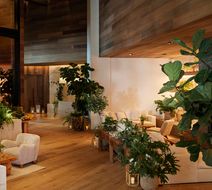 1 Hotel Austin Lobby