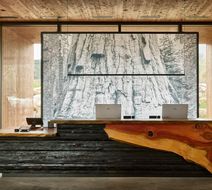 AutoCamp Sequoia Lobby