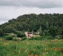 La Torre del Visco Exterior