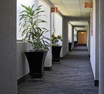 Holiday Inn La Piedad Lobby
