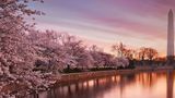 <b>Holiday Inn Express Washington DC NoMA Other</b>. Images powered by <a href="https://www.leonardoworldwide.com/" title="Leonardo Worldwide" target="_blank">Leonardo</a>.