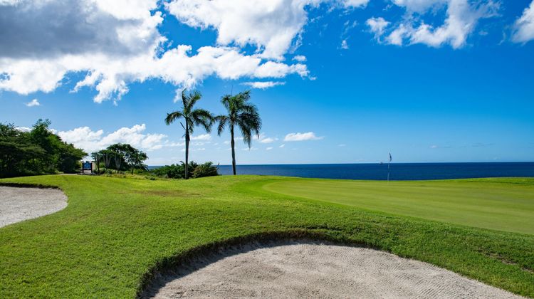 Blue Bay Curacao Golf & Beach Resort Golf