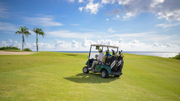 Blue Bay Curacao Golf & Beach Resort Golf