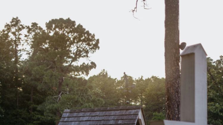 Pine Needles Lodge and Golf Club Other