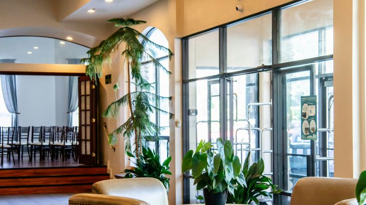 Forest Suites Resort Lobby