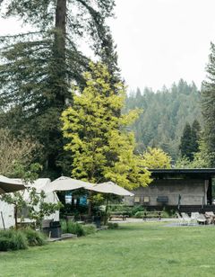 AutoCamp Sonoma