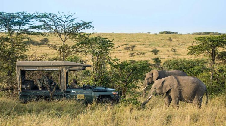 Mara Plains Camp Other
