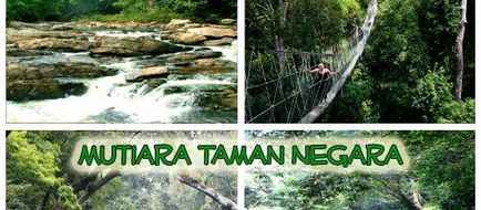 Mutiara Taman Negara Other