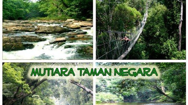 <b>Mutiara Taman Negara Other</b>. Images powered by <a href="https://www.leonardoworldwide.com/" title="Leonardo Worldwide" target="_blank">Leonardo</a>.