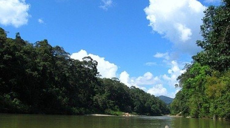 Mutiara Taman Negara Other