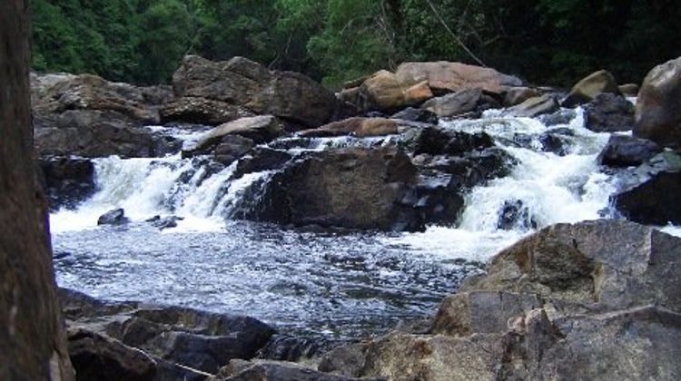 Mutiara Taman Negara Other