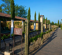 Hacienda Zorita Exterior