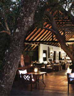 Londolozi Private Game Reserve