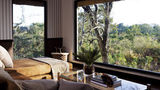 Londolozi Private Game Reserve Room