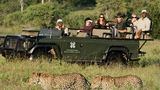 Londolozi Private Game Reserve Other