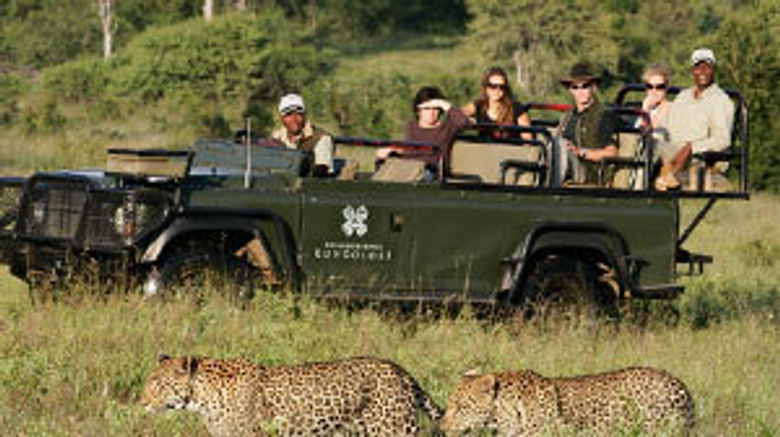 <b>Londolozi Private Game Reserve Other</b>. Images powered by <a href="https://www.leonardoworldwide.com/" title="Leonardo Worldwide" target="_blank">Leonardo</a>.