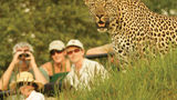Londolozi Private Game Reserve Other