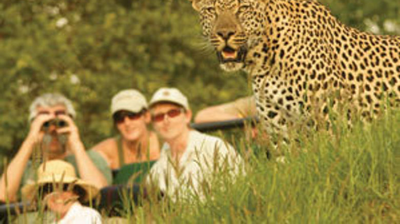 <b>Londolozi Private Game Reserve Other</b>. Images powered by <a href="https://www.leonardoworldwide.com/" title="Leonardo Worldwide" target="_blank">Leonardo</a>.