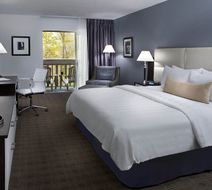 Toronto Don Valley Hotel & Suites Room