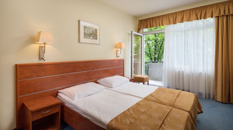 Hotel Benczur Room