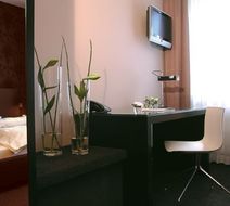 Waldhorn Hotel Room