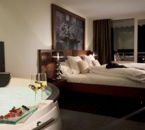 Baeren Sigrisvil Hotel Room