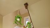 Victoria's Mansion Guest House Lobby