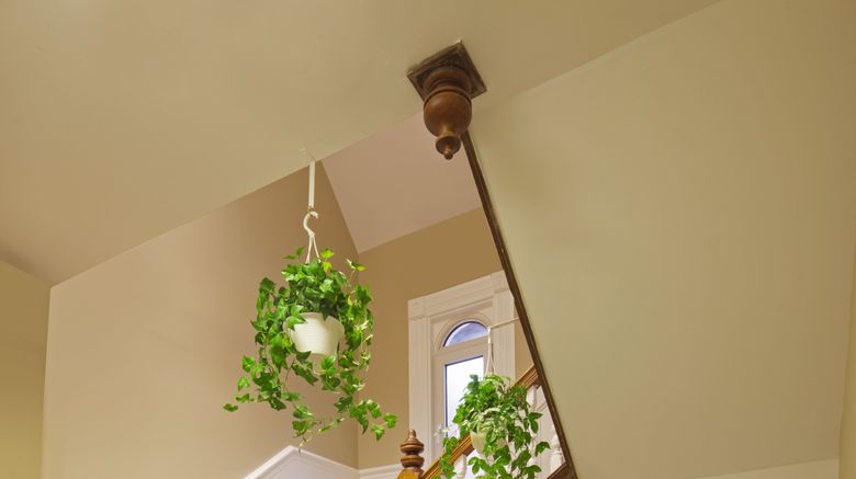 <b>Victoria's Mansion Guest House Lobby</b>. Images powered by <a href="https://www.leonardoworldwide.com/" title="Leonardo Worldwide" target="_blank">Leonardo</a>.