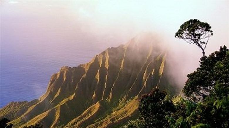 <b>The West Inn Kauai Other</b>. Images powered by <a href="https://www.leonardoworldwide.com/" title="Leonardo Worldwide" target="_blank">Leonardo</a>.