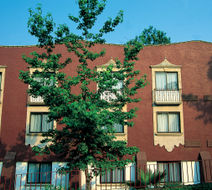 Fiesta Inn Xalapa Exterior