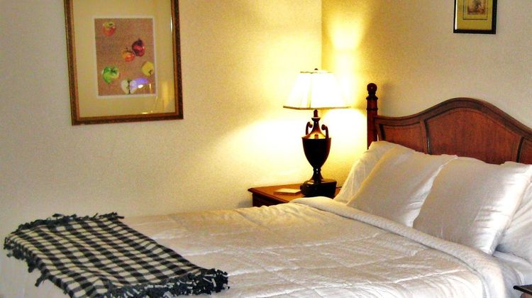 Arlington Suites Suite