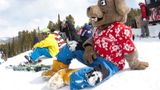 Gravity Haus Breckenridge Recreation