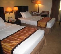 Royalton Hotel Dubai Room