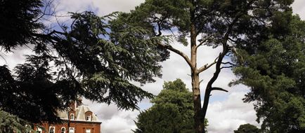 Champneys Resort Exterior