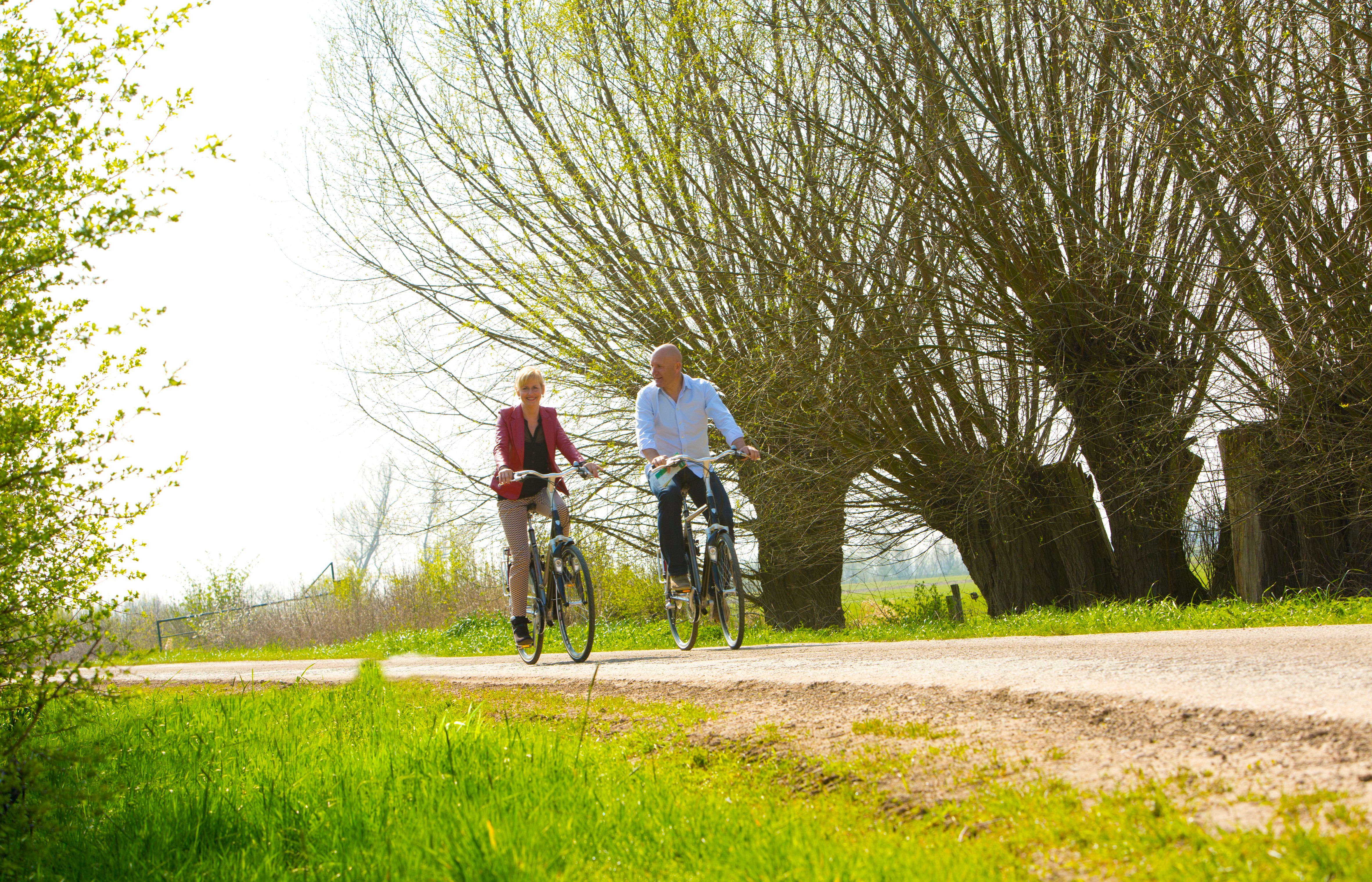 Find Didam Netherlands Hotels Downtown Hotels in Didam Hotel