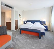 Hotel Krone Room