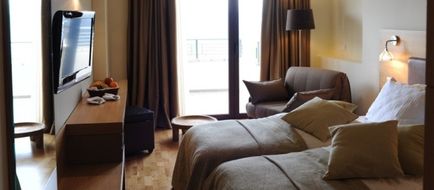 Domotel Anemolia Room