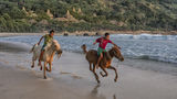 <b>Nihi Sumba, Sumba Island Beach</b>. Images powered by <a href="https://www.leonardoworldwide.com/" title="Leonardo Worldwide" target="_blank">Leonardo</a>.