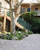 The Landmark Orcas Island