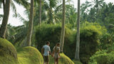 Four Seasons Resort Bali at Sayan Other