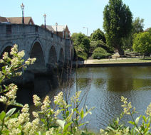 The Bridge Hotel Exterior