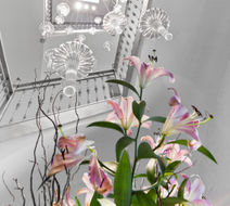Sant Pere del Bosc Hotel & Spa Lobby