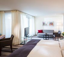 Schatzmann Room