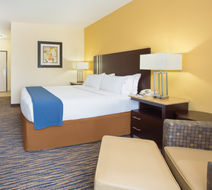 Holiday Inn Express & Suites Thornton Room